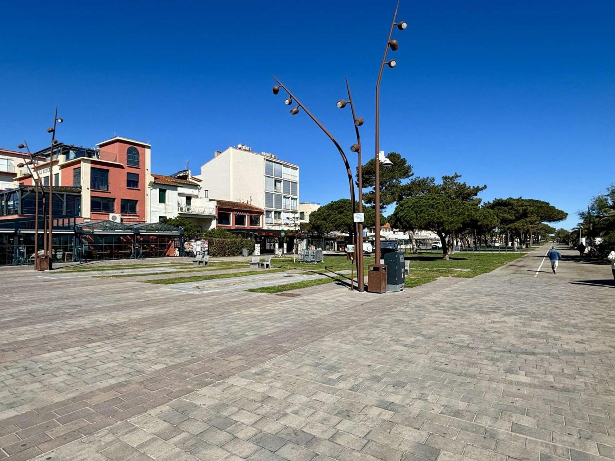 Appartement 3 Pieces Avec Terrasse Et Jardin, Proche Plage Et Commerces, 2 Parkings, Argeles-Sur-Mer - Fr-1-225-773 Exterior foto